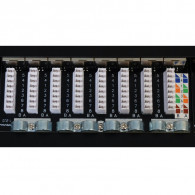 Panneau de Brassage Intellinet 24 Ports RJ45 Cat6A FTP
