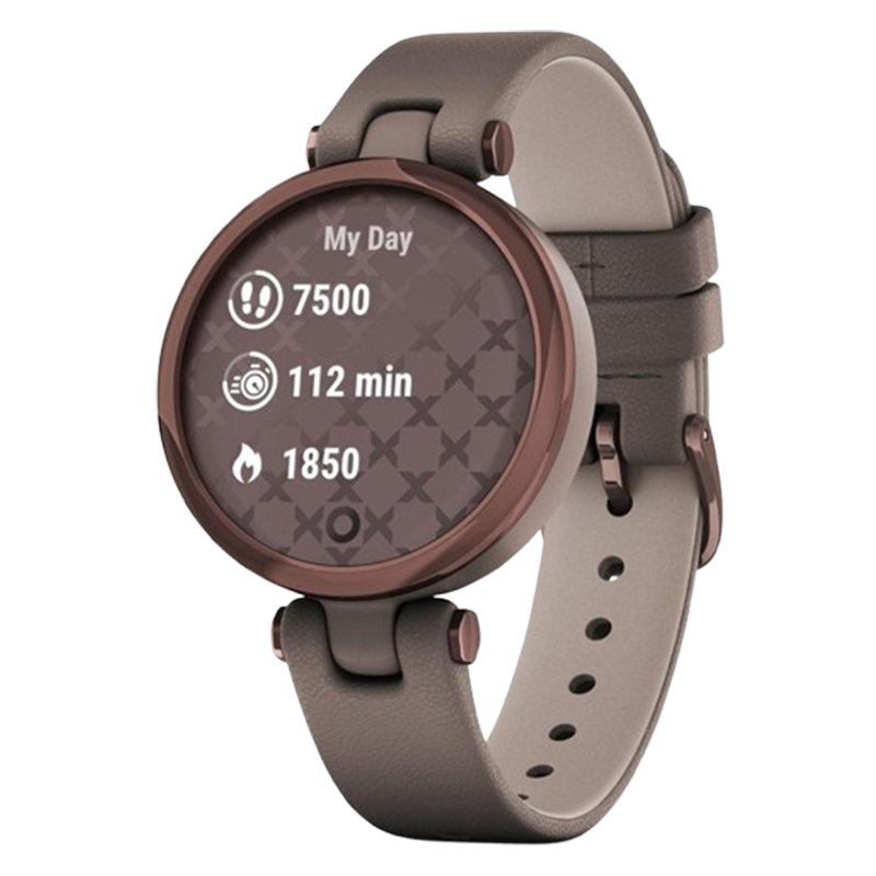 Montre Connectée Garmin Lily Classic Gris Taupe & Bronze En Tunisie