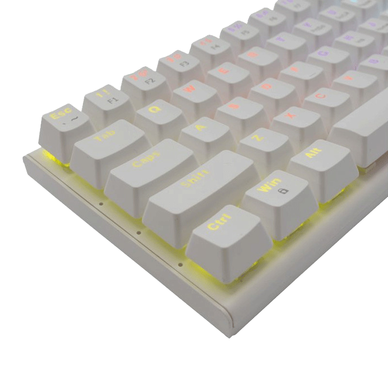 Clavier Gamer Mécanique White Shark GK-002211 Red Switch Blanc en Tunisie