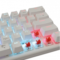 Clavier Gamer Mécanique White Shark GK-002211 Red Switch Blanc en Tunisie Clavier Gamer Mécanique White Shark GK-002211 Red Switch Blanc en Tunisie