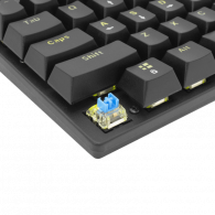 Clavier Gamer White Shark Commandos Elite Blue Switch Noir en Tunisie Clavier Gamer White Shark Commandos Elite Blue Switch Noir en Tunisie