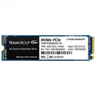 Disque Dur Interne SSD Team Group M.2 MP33 256 Go (TM8FP6256G0C101)