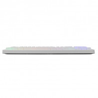 Clavier Gamer Baracuda BGK-01124 Krill RGB Blanc En Tunisie Clavier Gamer Baracuda BGK-01124 Krill RGB Blanc En Tunisie