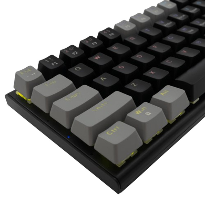 Clavier Gamer WhiteShark Wakizashi Blue Switch Noir En Tunisie