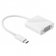 Adaptateur Type C Vers VGA Blanc