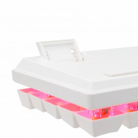 Clavier Gamer Baracuda BGK-03211 Dolphin Red Switch Blanc en Tunisie Clavier Gamer Baracuda BGK-03211 Dolphin Red Switch Blanc en Tunisie