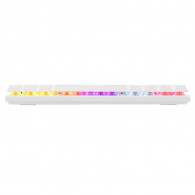Clavier Gamer Baracuda Dolphin Blue Switch Blanc Clavier Gamer Baracuda Dolphin Blue Switch Blanc