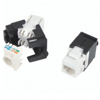 Noyau prise RJ45 W&T UTP Cat 6 WT-2200B