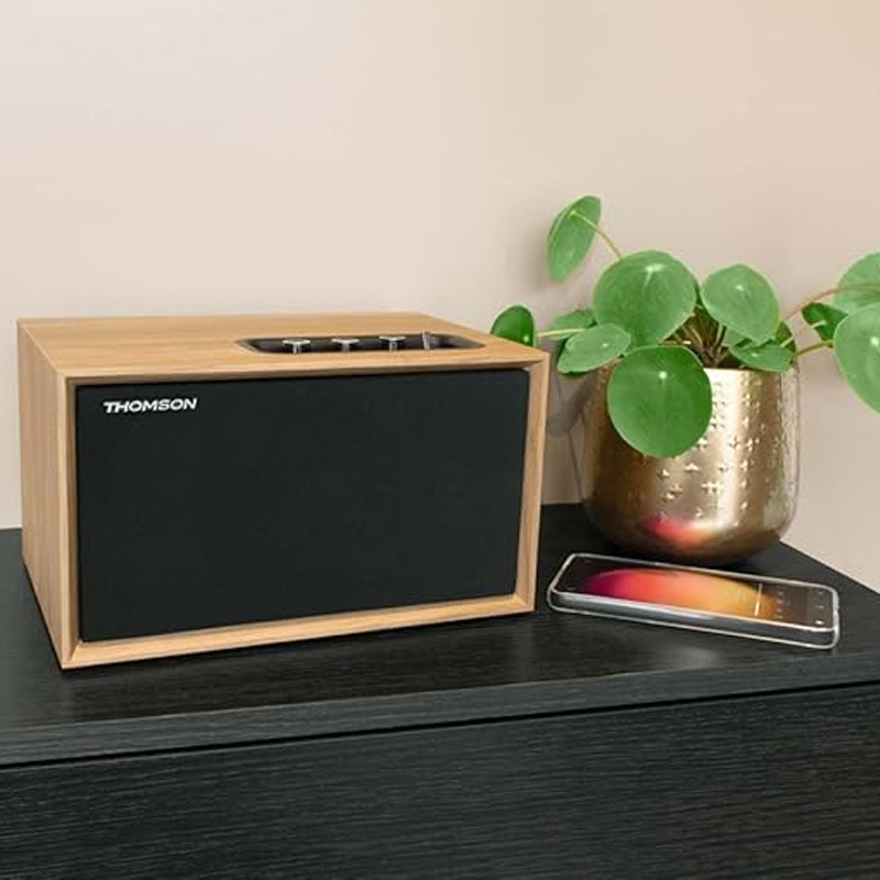 Haut Parleur Bluetooth Thomson WS302 Bois en Tunisie