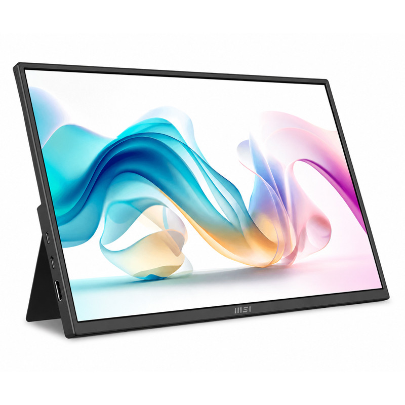 Ecran MSI PRO MP165 E6 15.6" IPS FHD 60Hz Noir en Tunisie