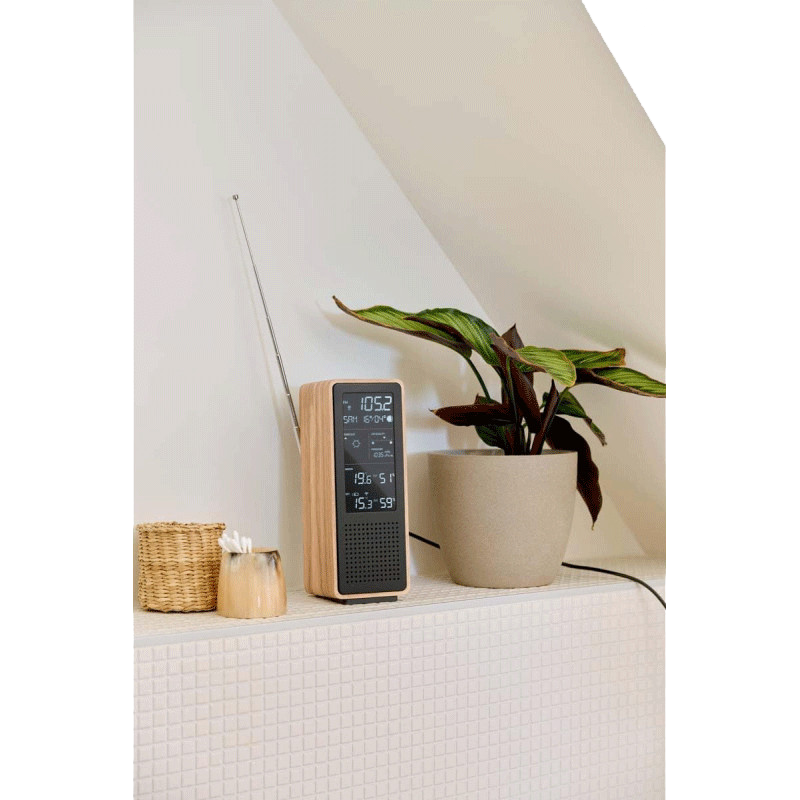 Haut Parleur Bluetooth Et Station Météo Thomson WS102TBK Noir en Tunisie
