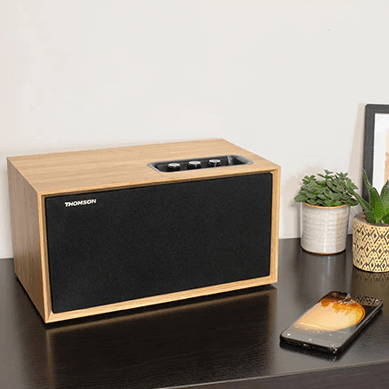 Haut Parleur Bluetooth Thomson WS502 Bois en Tunisie