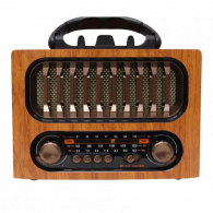 Haut Parleur & Radio FM M-1930BT Bois En Tunisie